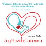 pastorales-logo-provida